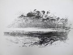 Jan van der Baan<br />Eenden, in zwartwit