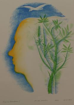 Ger van Norden<br />Map Zyklus