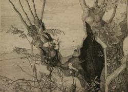 Reinder Homan<br />Holle wilg