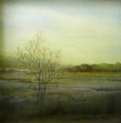 Joop Klompien<br />Fochteloërveen