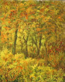 Andries Groen<br />Nederland, Alpen, Parijs