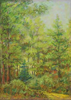 Andries Groen<br />Nederland, Alpen, Parijs