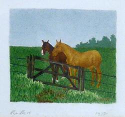 Hilde Wolters<br />Twee paarden achter hek