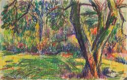 Jan ten Have<br />Kleurrijke bomen