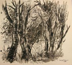 Jan ten Have<br />Boomstammen