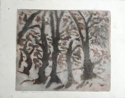 Henk Meijer<br />Zes bomen