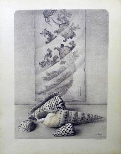 Evert Musch<br />Schelpen 7