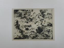 Marius Holleman<br />Duinlandschap met struiken