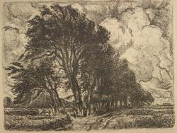 Jan ten Have<br />Bomenrij