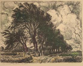 Jan ten Have<br />Noordlaren